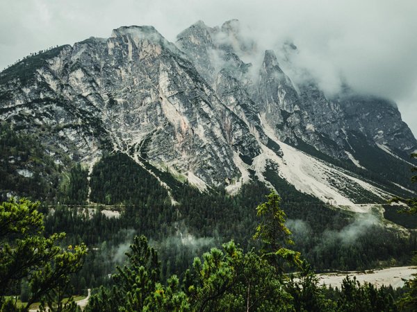 Quels sont les meilleurs conseils pour une plongée en cage avec les grands requins blancs en Afrique du Sud : sécurité et équipements ?