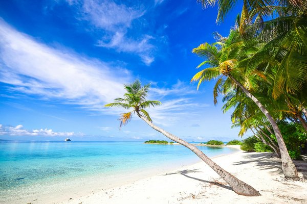 Quels sont les meilleurs conseils pour une randonnée dans les montagnes de l'Atlas au Maroc : itinéraires et points d'intérêt ?